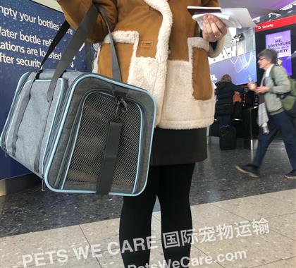 布偶猫Irving的回国之旅：从伦敦出发运往南京